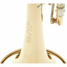Труба Gerd Dowids BZ-Series C-Trumpet Gerd Dowids BZ-Series C-Trumpet