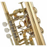 Труба Gerd Dowids BZ-Series C-Trumpet Gerd Dowids BZ-Series C-Trumpet