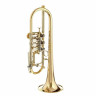 Труба Gerd Dowids BZ-Series C-Trumpet Gerd Dowids BZ-Series C-Trumpet