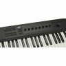 Native Instruments Полный контроль A49 Native Instruments Komplete Kontrol A49
