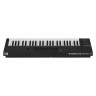 Native Instruments Полный контроль A49 Native Instruments Komplete Kontrol A49