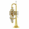 Бах 181 Корнет Bach 181 Cornet