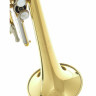 Бах 181 Корнет Bach 181 Cornet