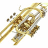 Бах 181 Корнет Bach 181 Cornet
