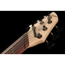 Бас-гитара Dingwall CB3 Combustion 6 NAT PF Dingwall CB3 Combustion 6 NAT PF