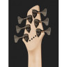 Бас-гитара Dingwall CB3 Combustion 6 NAT PF Dingwall CB3 Combustion 6 NAT PF