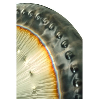 РеалГонг 32"/81см Венера RealGong 32"/81cm Venus