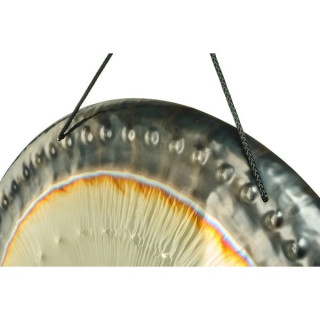 РеалГонг 32"/81см Венера RealGong 32"/81cm Venus