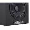 Auratone 5C Super Sound Черный Auratone 5C Super Sound Black