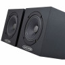 Auratone 5C Super Sound Черный Auratone 5C Super Sound Black