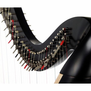 Арфа Lyon & Healy Troubadour VI Lever Harp EB Lyon & Healy Troubadour VI Lever Harp EB