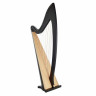 Арфа Lyon & Healy Troubadour VI Lever Harp EB Lyon & Healy Troubadour VI Lever Harp EB