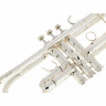 Schilke SB4-MG Bb-Труба Schilke SB4-MG Bb-Trumpet