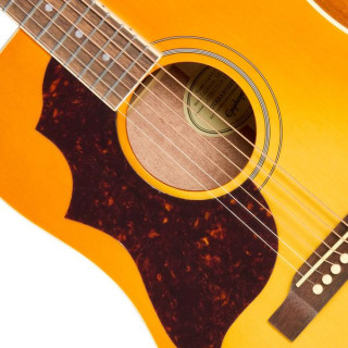 Epiphone Hummingbird Tribute HCS Epiphone Hummingbird Tribute HCS