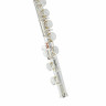 Флейта Thomann FL-1000 CE Flute