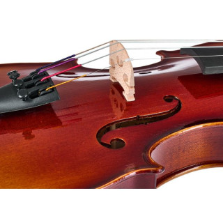 Gewa 100-летие Скрипка 3/4 Gewa 100th Anniversary Violin 3/4