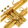 Gewa Bb-Тромбон TR172 L Vision Gewa Bb-Trumpet TR172 L Vision