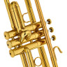 Gewa Bb-Тромбон TR172 L Vision Gewa Bb-Trumpet TR172 L Vision