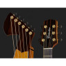 Timberline Guitars T30HGpc-e Арфовая гитара Timberline Guitars T30HGpc-e Harp Guitar