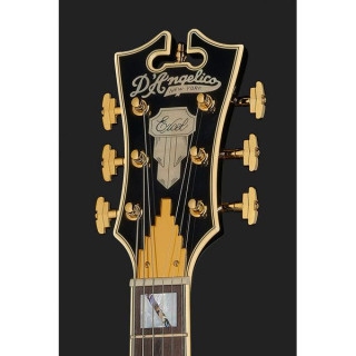 Данжелико Эксель СС Черный пес DAngelico Excel SS Black Dog