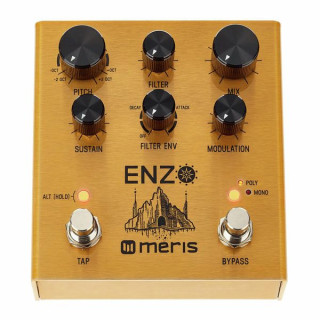 Многоголосый синтезатор Meris Enzo Meris Enzo Multi-Voice Synthesizer