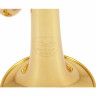 Труба Kühnl & Hoyer Topline Bb-Trumpet Brass Kühnl & Hoyer Topline Bb-Trumpet Brass