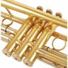 Труба Kühnl & Hoyer Topline Bb-Trumpet Brass Kühnl & Hoyer Topline Bb-Trumpet Brass