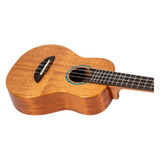 Полет Ирис Тинта Концерт NA Flight Iris Tinta Concert NA