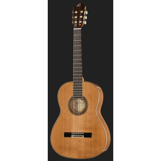 Ортега R20GSNWN Ortega R20GSNWN