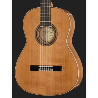 Ортега R20GSNWN Ortega R20GSNWN