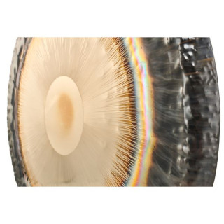 Thomann 28"/71 см Planet Gong Chiron Thomann 28"/71cm Planet Gong Chiron