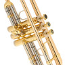 Schagerl "AGLAEA" Bb- Труба L Schagerl "AGLAEA" Bb- Trumpet L