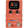 Flamma FF03 Loop & Drum Flamma FF03 Loop & Drum