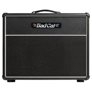 Bad Cat Cub V 1x12 Кабина Bad Cat Cub V 1x12 Cab