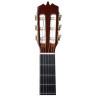 Классическая гитара Ramirez Sencillo Cedar Ramirez Sencillo Cedar