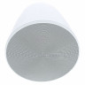 Bose Professional DesignMax DM10P-SUB white Bose Professional DesignMax DM10P-SUB white