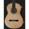 Классическая гитара Cordoba C12 Spruce Cordoba C12 Spruce