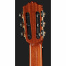 Классическая гитара Cordoba C12 Spruce Cordoba C12 Spruce
