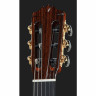 Классическая гитара Cordoba C12 Spruce Cordoba C12 Spruce