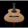 Классическая гитара Cordoba C12 Spruce Cordoba C12 Spruce