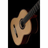 Классическая гитара Cordoba C12 Spruce Cordoba C12 Spruce