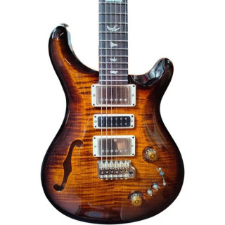PRS Специальный полупустотелый BW PRS Special Semi-Hollow BW