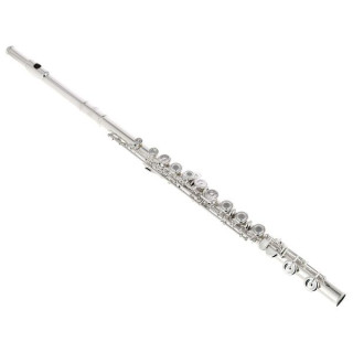 Tavmusic.ru FL-2000 RE Флейта Thomann FL-2000 RE Flute