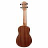Укулеле Baton Rouge V2-sw Baton Rouge V2-sw