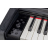Gewa DP 520 Чёрный Gewa DP 520 Black