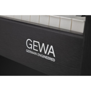 Gewa DP 520 Чёрный Gewa DP 520 Black