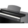 Gewa DP 520 Чёрный Gewa DP 520 Black