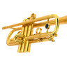 InstruVents Brass Gaia Bb-Тромпет InstruVents Brass Gaia Bb-Trumpet
