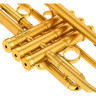 InstruVents Brass Gaia Bb-Тромпет InstruVents Brass Gaia Bb-Trumpet