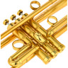 InstruVents Brass Gaia Bb-Тромпет InstruVents Brass Gaia Bb-Trumpet